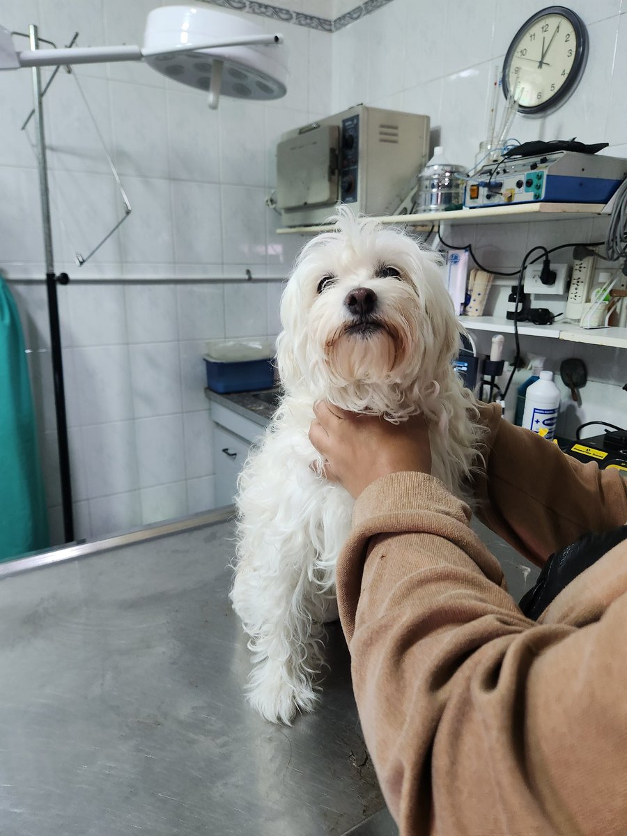 mar ִ ࣪𖤐.ᐟ tweet media