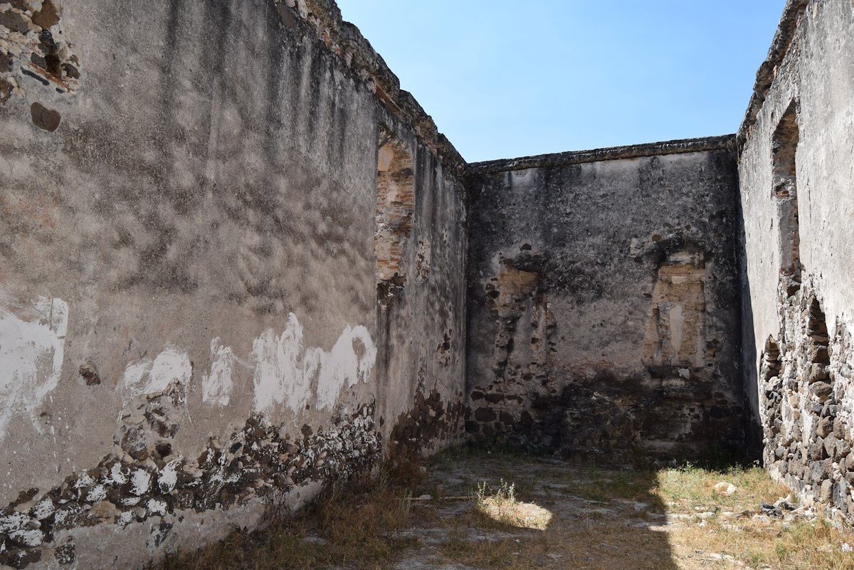 Lex 🌐🗽 tweet media