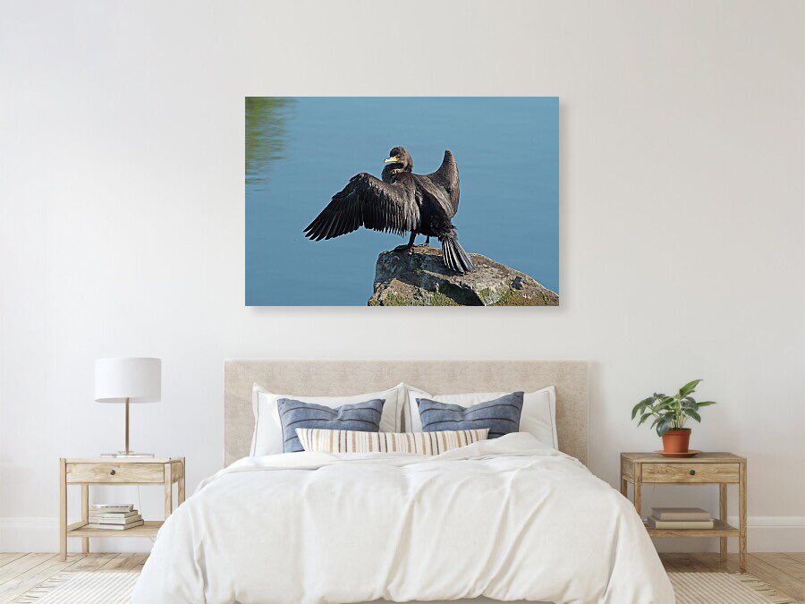 shonna99784's tweet image. Kempenfelt Bay - Cormorant Perched on Rock - Canvas Print shonnahawkinsphotography.com/featured/kempe…

Available as a high-quality canvas print for your home or office.

#KempenfeltBay #Cormorant #Perched #Rock #Shags #CanvasPrint #HomeDecor #BuyIntoArt #ShonnaHawkins #Barrie