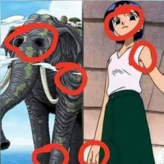 Grace 🤎🦋☕ tweet media