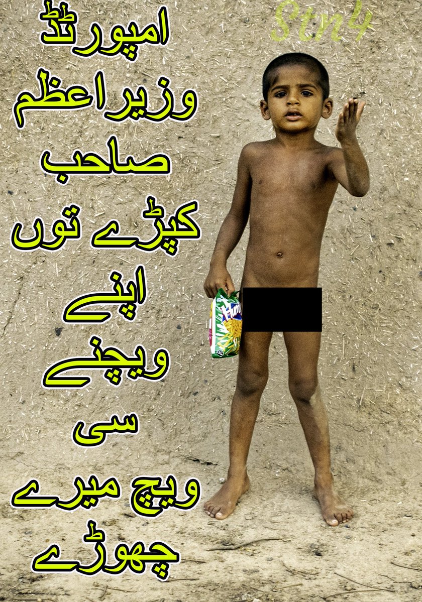 StnStbrnStlldy 4 tweet media