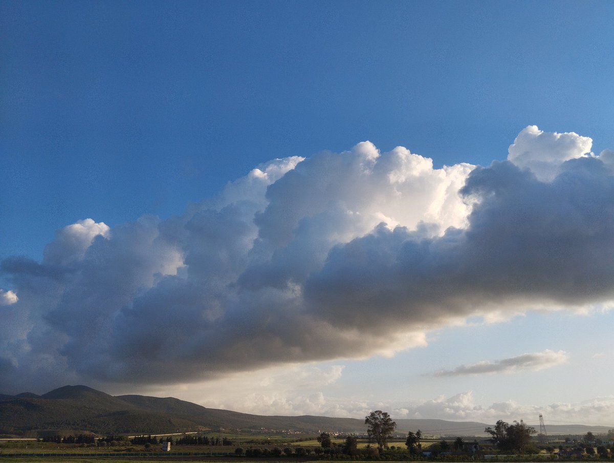 معاذ tweet media