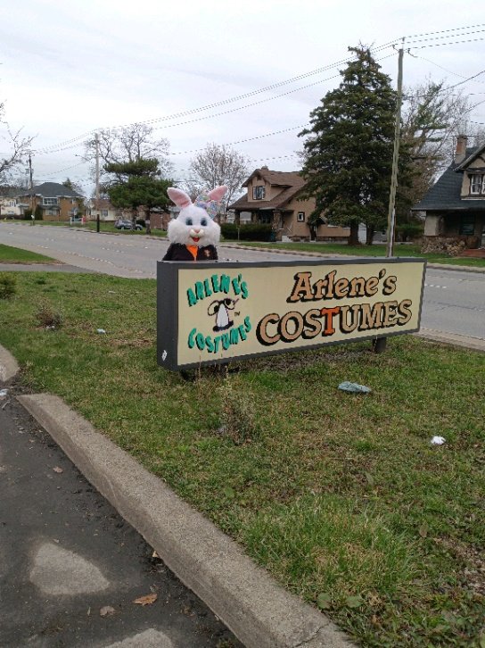 Arlene's Costumes tweet media