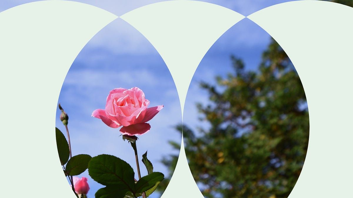 CreativeMornings tweet media