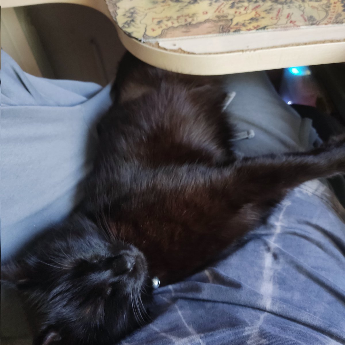 cigarro jodido rojo e imbécil tweet media