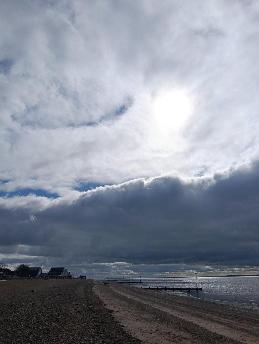 Robin Whitehead tweet media