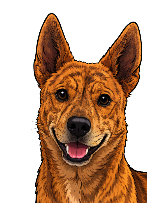 Ryukyu Inu tweet media