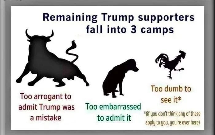 Richard Hastie tweet media