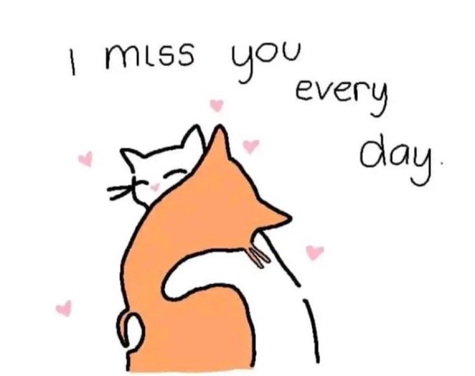 messages. tweet media