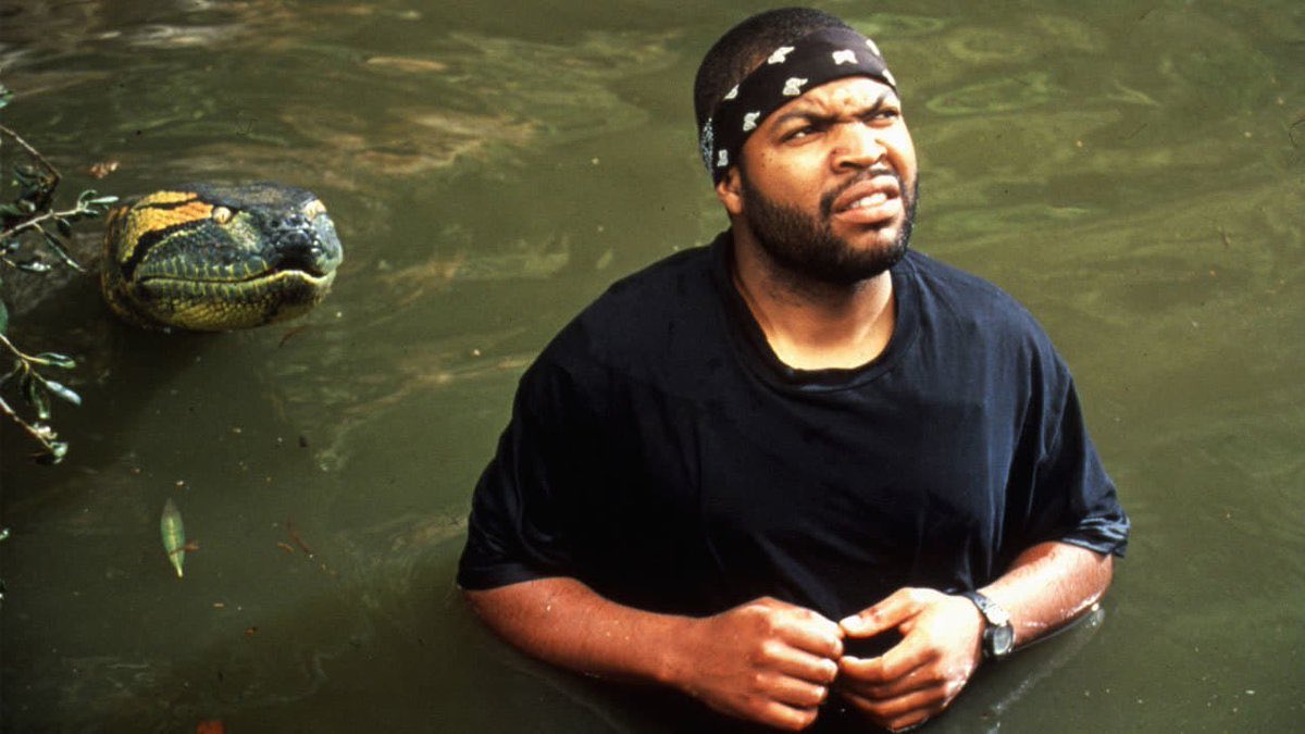 カルロスあきお tweet media