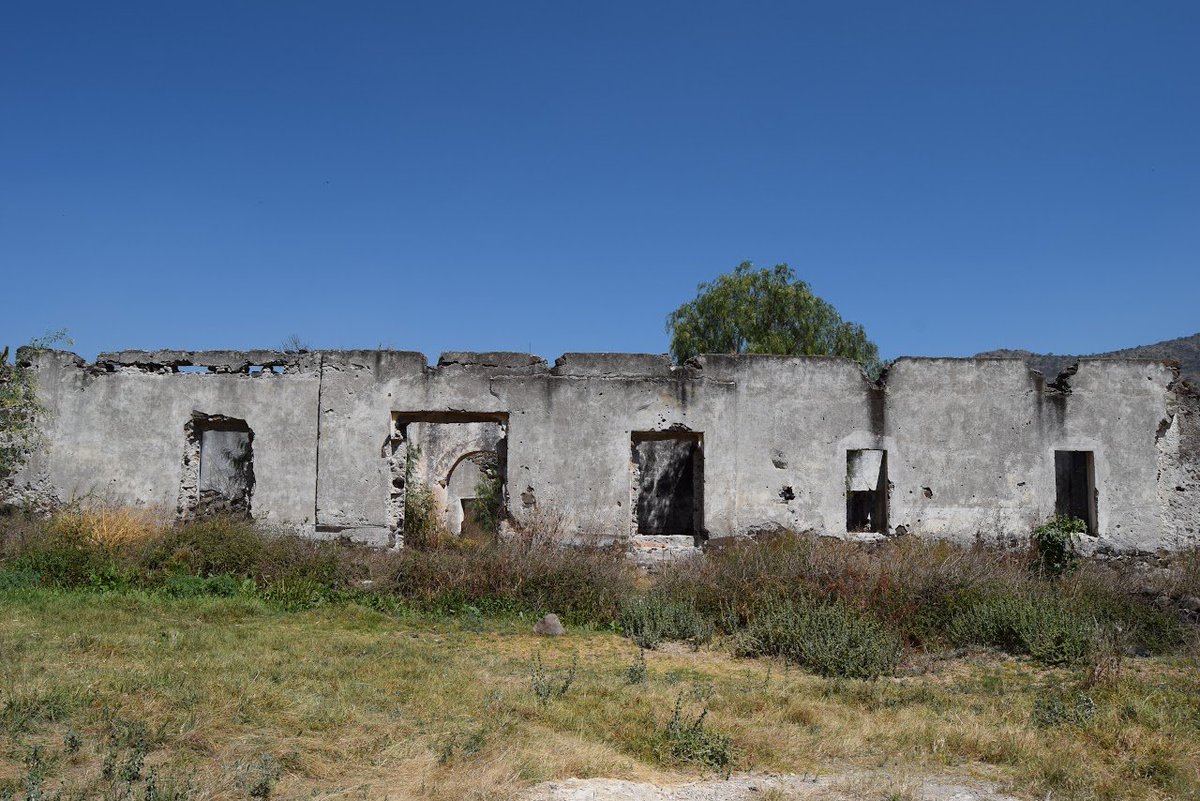 Lex 🌐🗽 tweet media