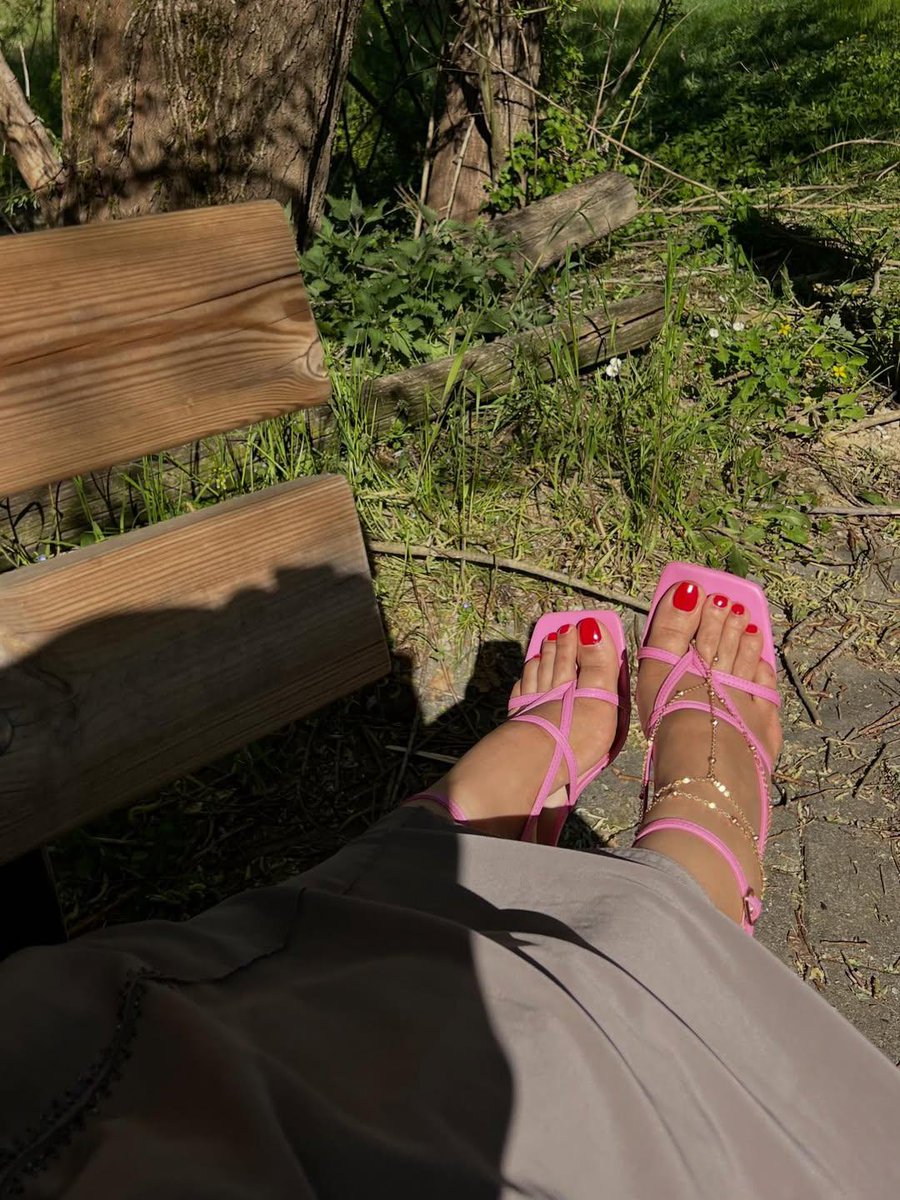 🇲🇦 tweet media