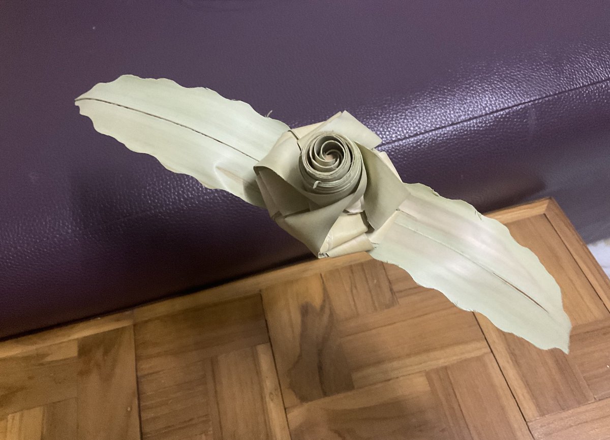 JJ ft. M4X 🦁⭐️ tweet media