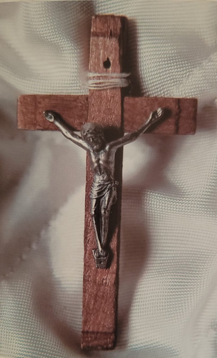 Mafalda Casas Cordero tweet media