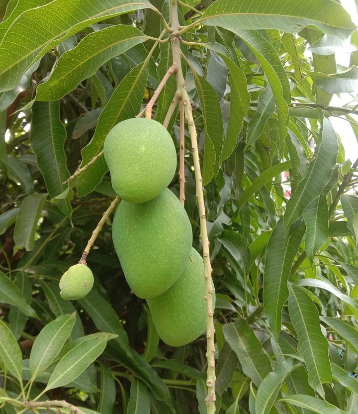 𝕬𝖐𝖔𝖓𝖌𝖘𝖎𝖓 tweet media