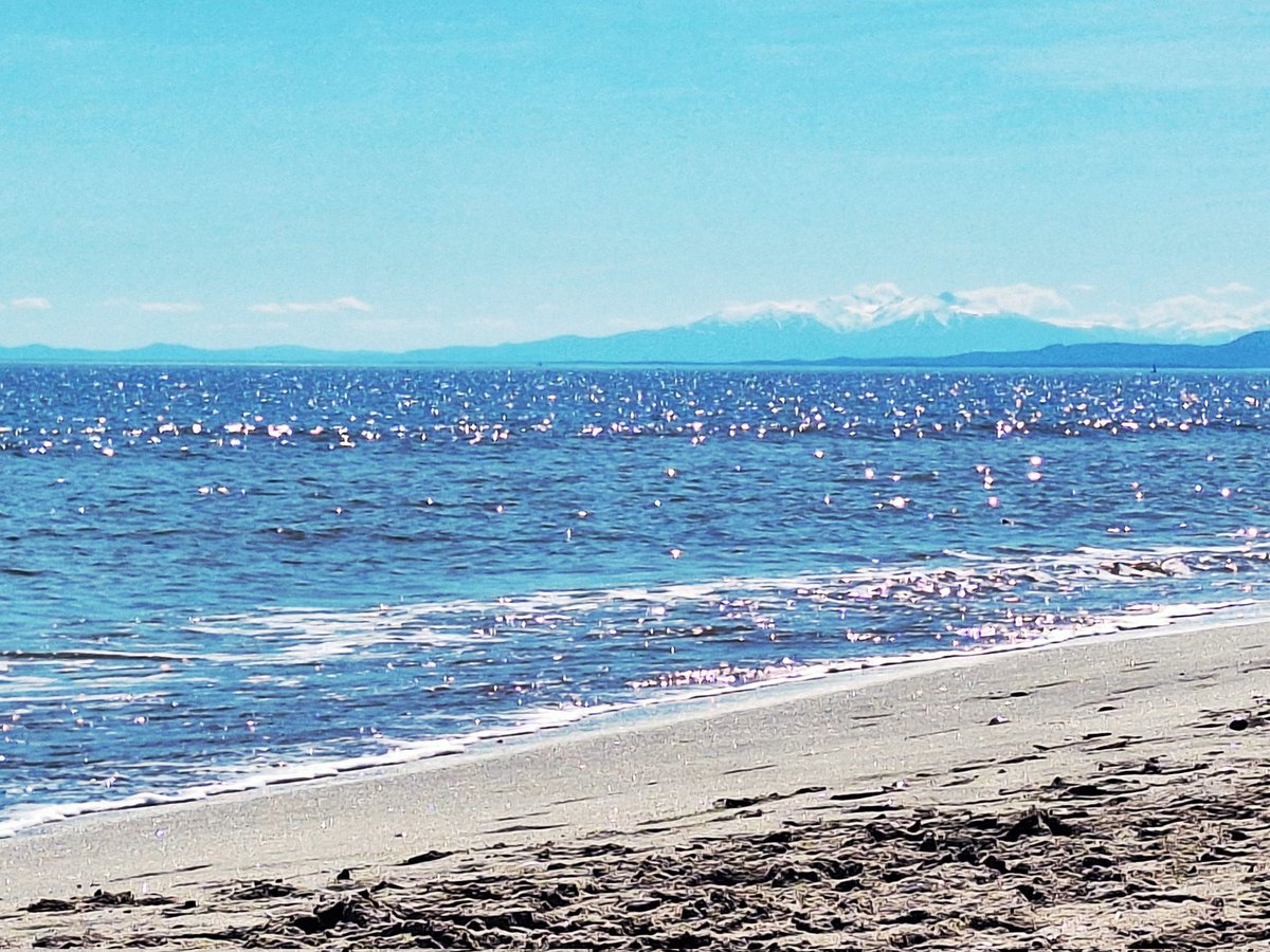 Pour une nouvelle vie tweet media