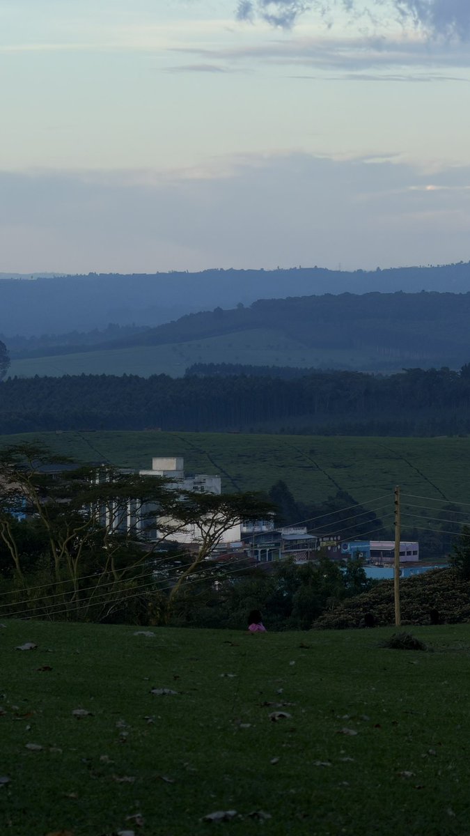 Alex Kamau tweet media