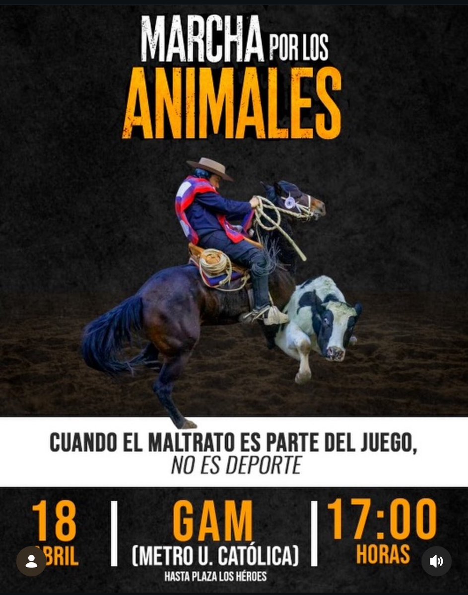 L E O N 💙🤘🦁🦉🇰🇼 tweet media