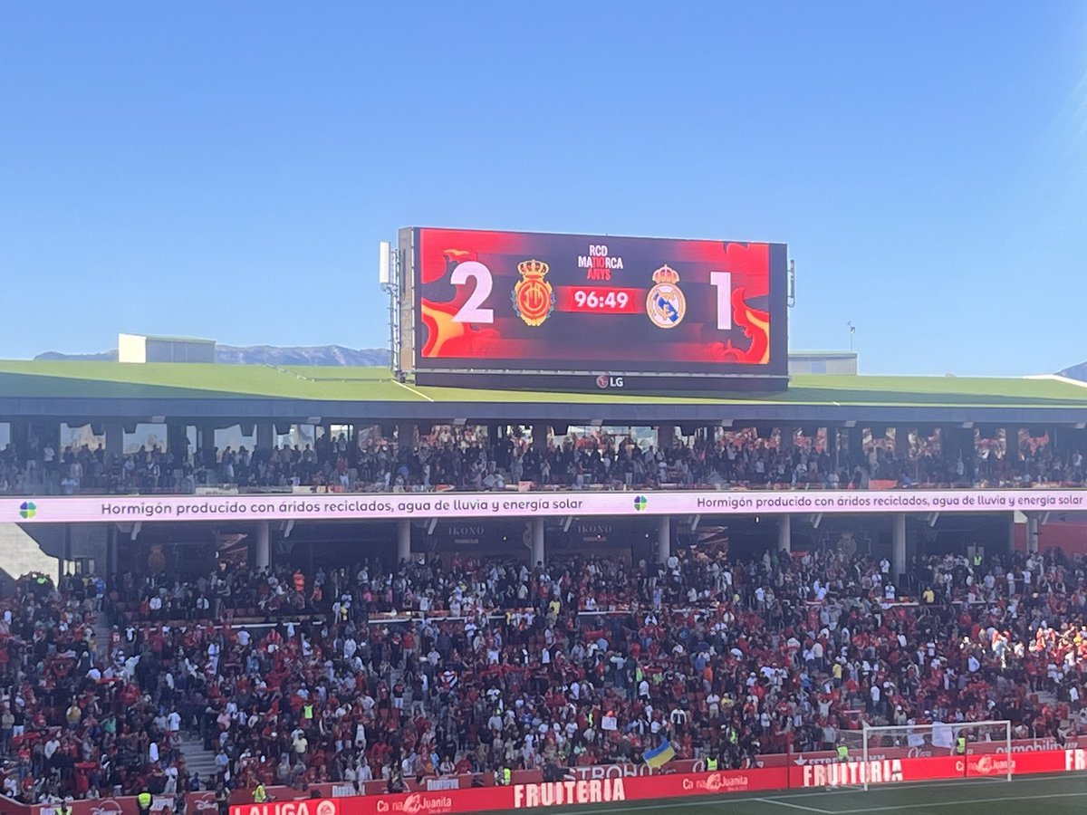 David Roig Roig tweet media