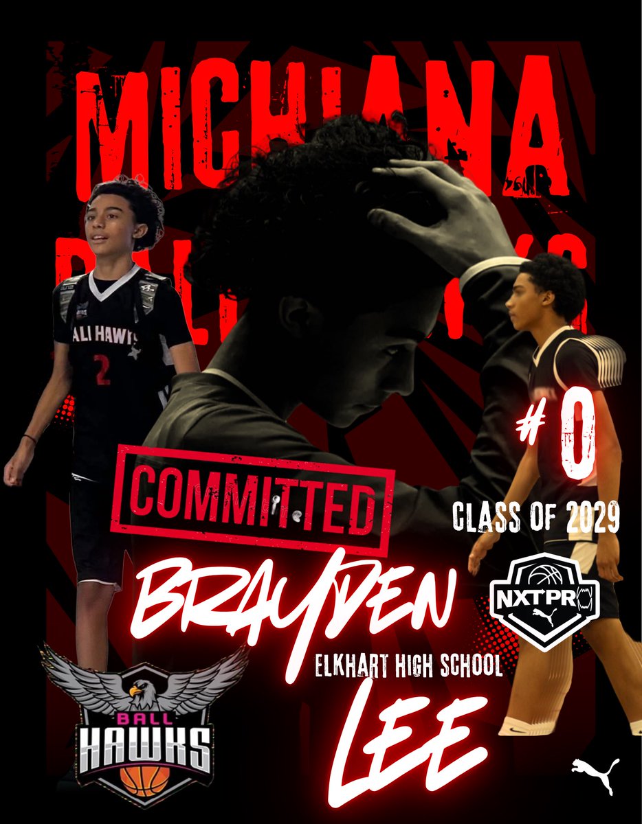 Michiana Ball Hawks tweet media