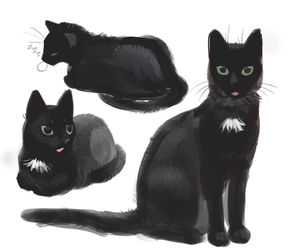 silly doodles of my cat Muszka