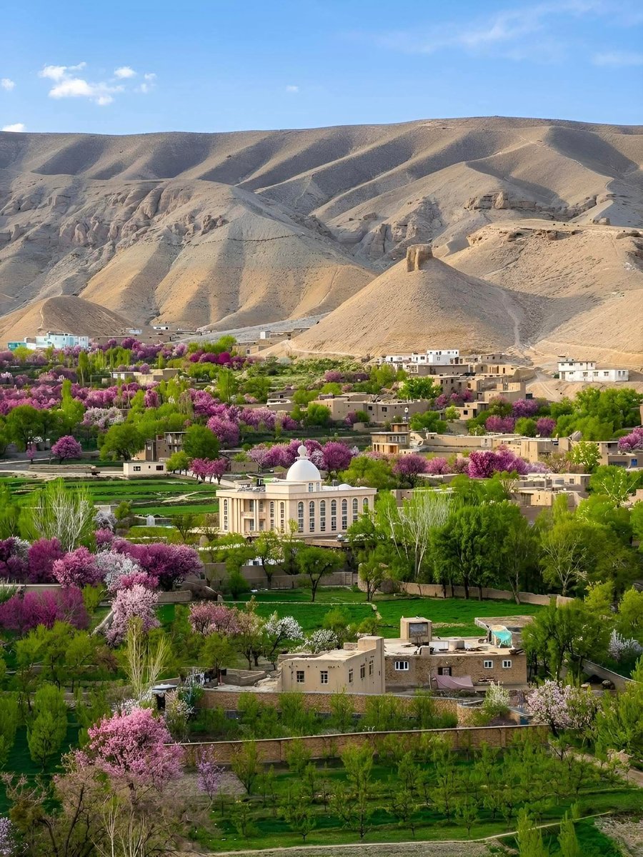 رحمت الله (Lugarwall) tweet media