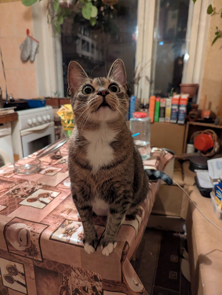 я да, но нет tweet media