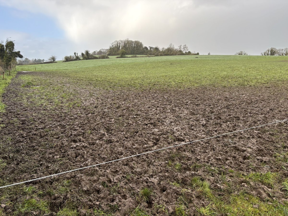 Salesian Agricultural College tweet media