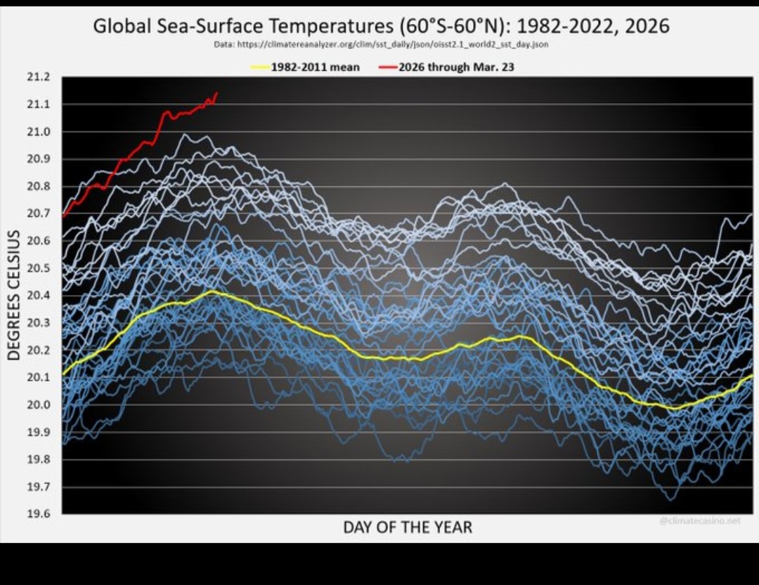 Eddie Espinoza for Congress TX-34 tweet media