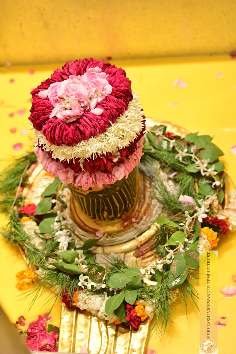 ShriVishwanath's tweet image. श्री काशी विश्वनाथ जी की सप्तऋषि आरती I
#kashivishwanath #kashi #hindu #sanatandharm