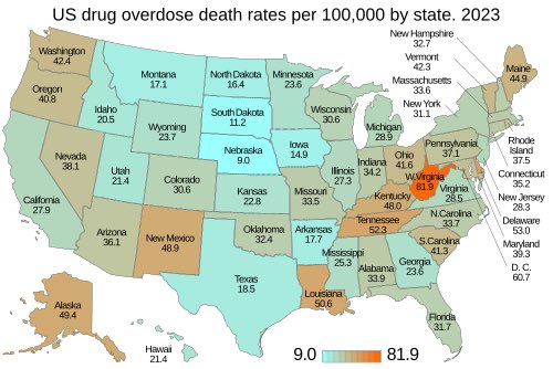 Filosophy tweet media
