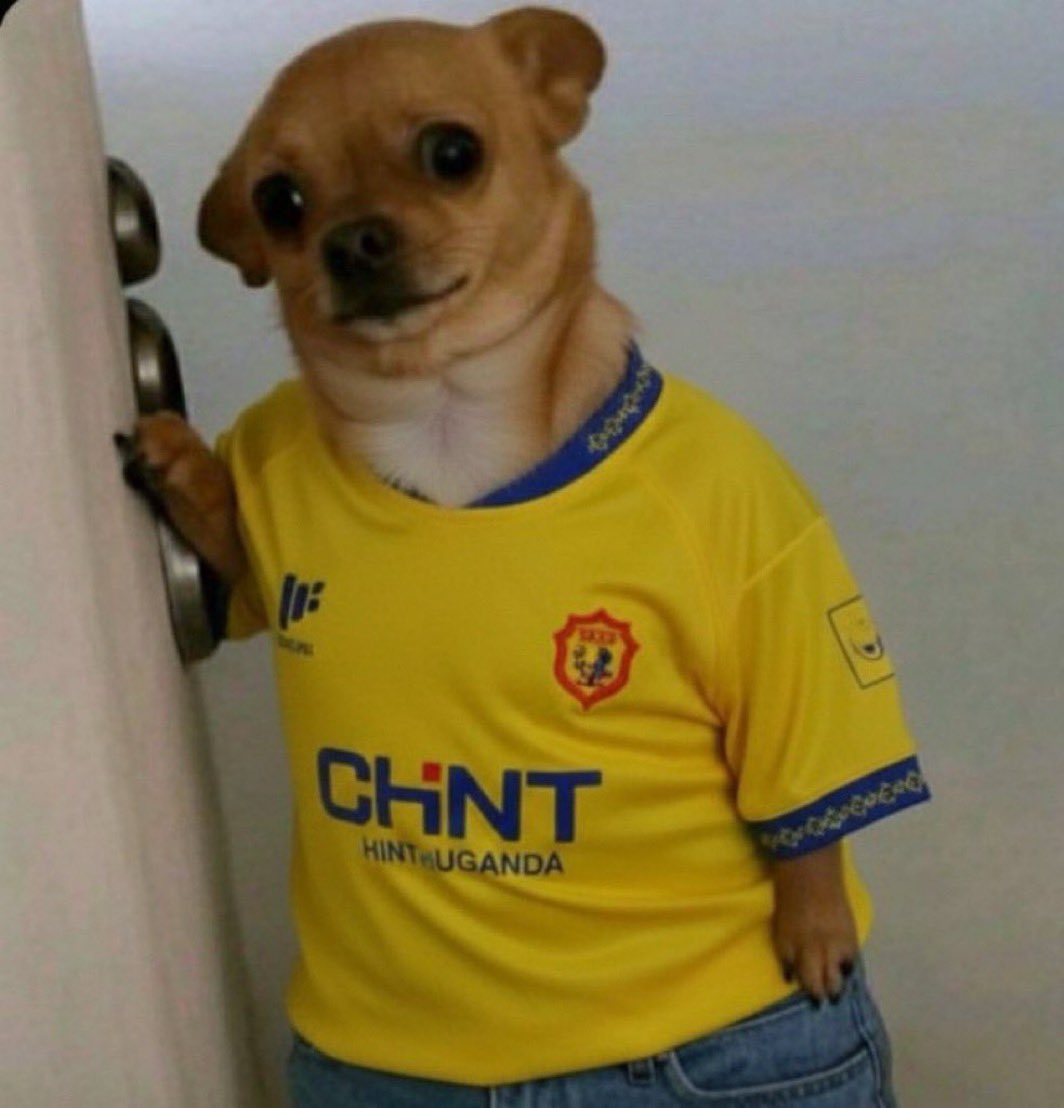 Dóuglas Fir🗽 tweet media