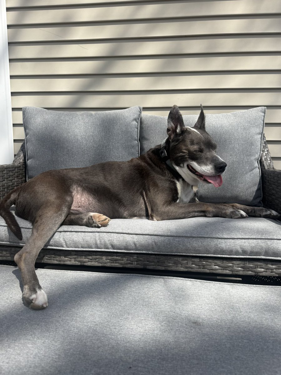 King of the Castle, King of the Castle