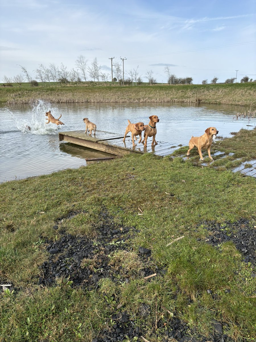 Mrs Eric & Bruce (Prof Eric 🎓) 🌈 tweet media