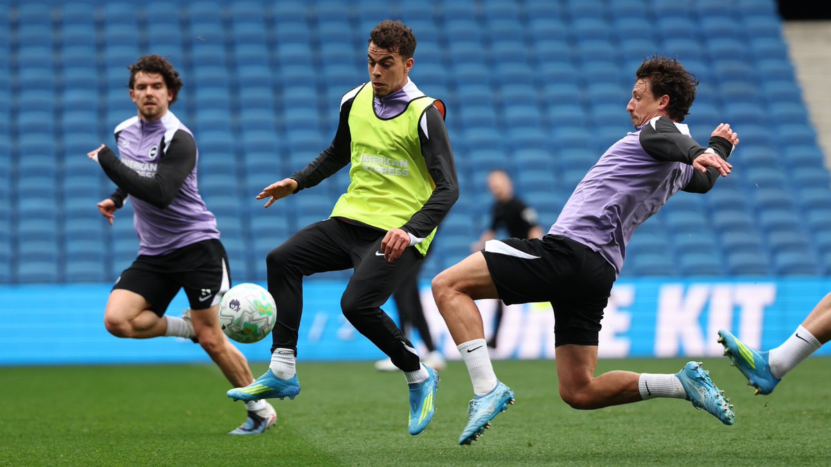 Brighton & Hove Albion tweet media