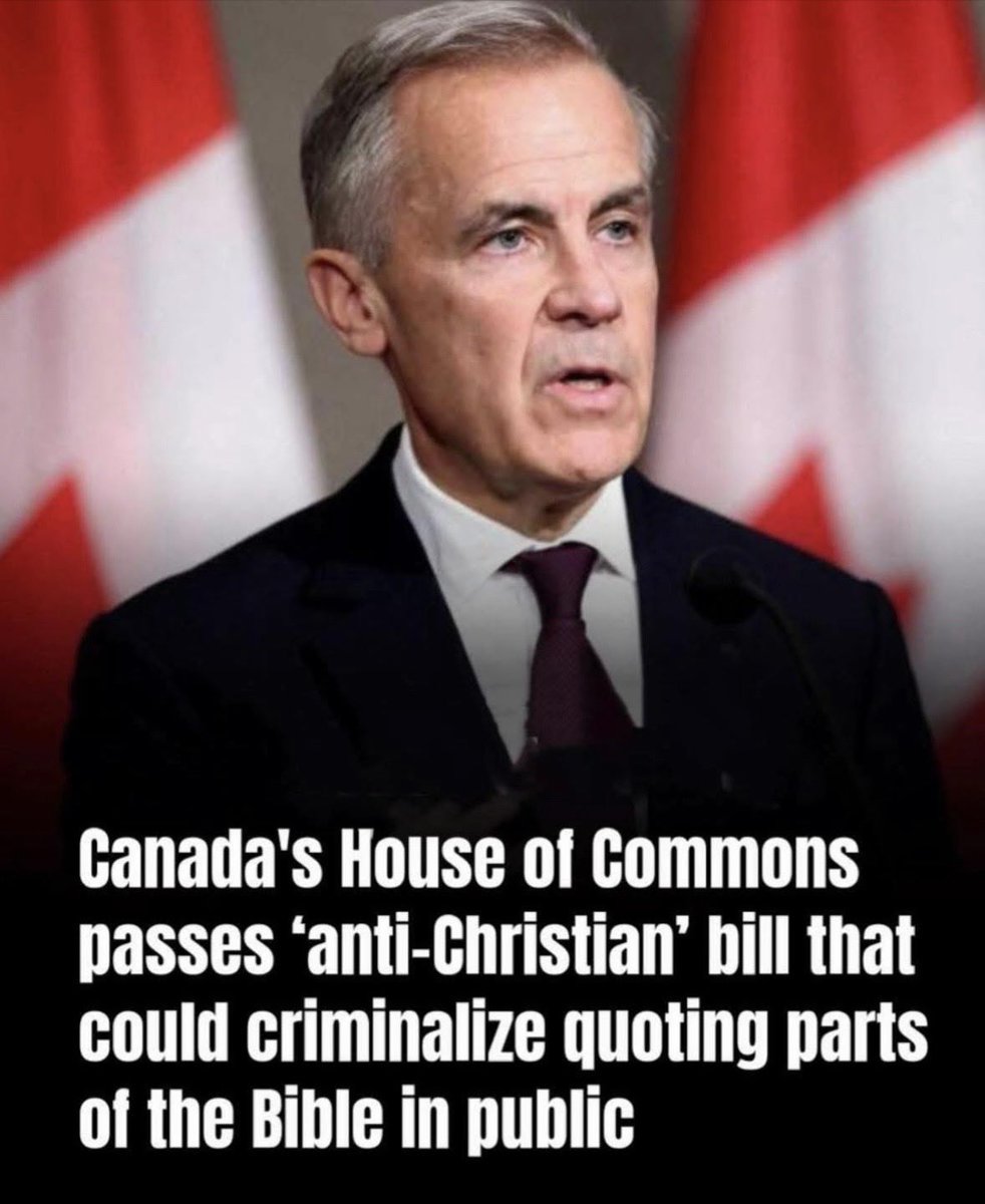 Republican Grandma-Just my opinion… tweet media