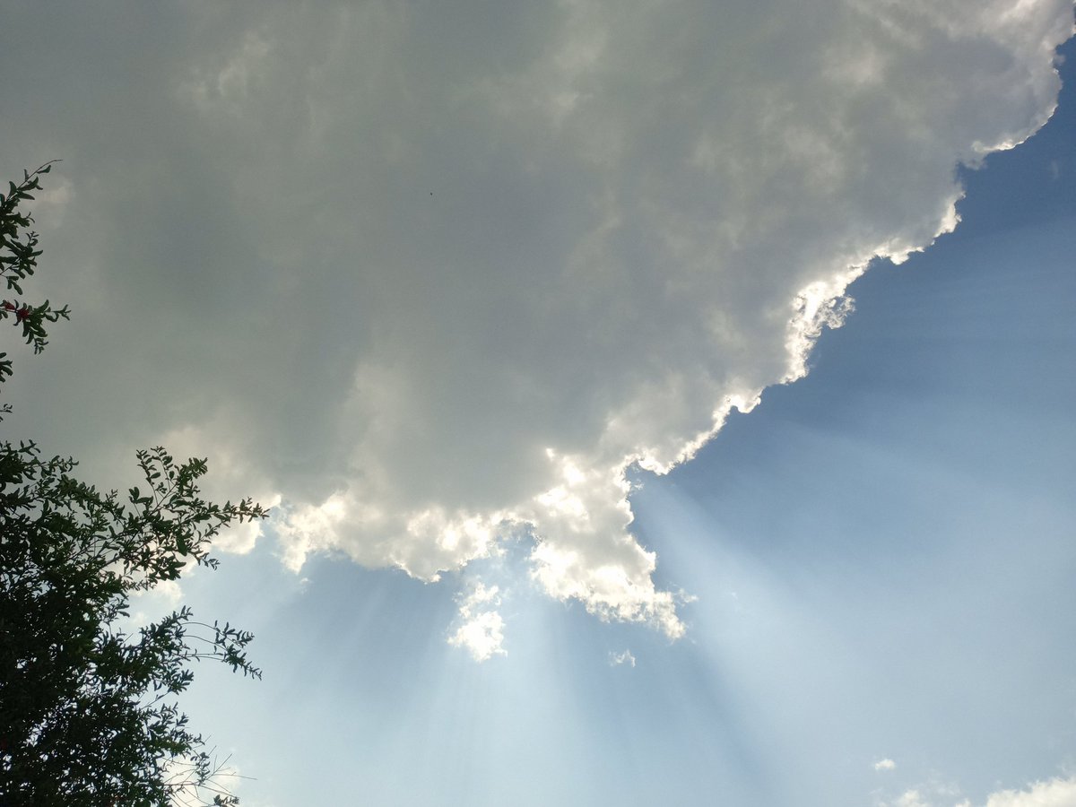 Ayesh_e_gull...💕 tweet media