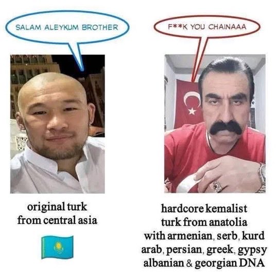 Barron Ben Roth tweet media