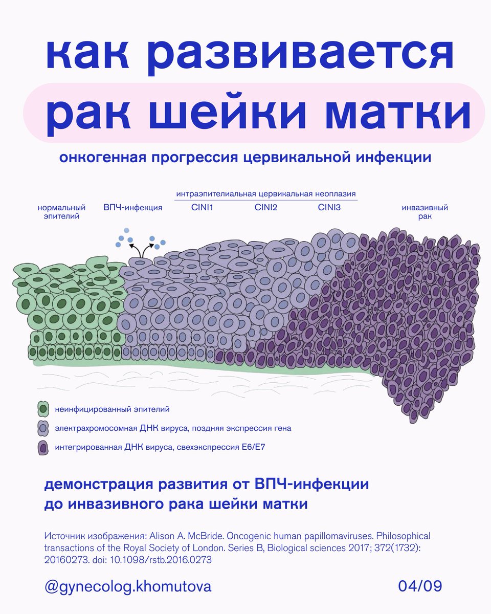 блэквайт tweet media