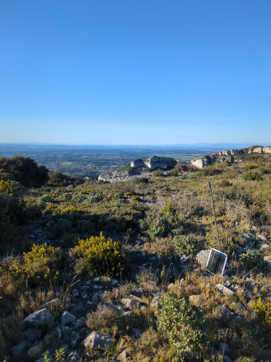 Lab312_'s tweet image. It will #COMM, in due time. #MESHPACA #OFFGRID