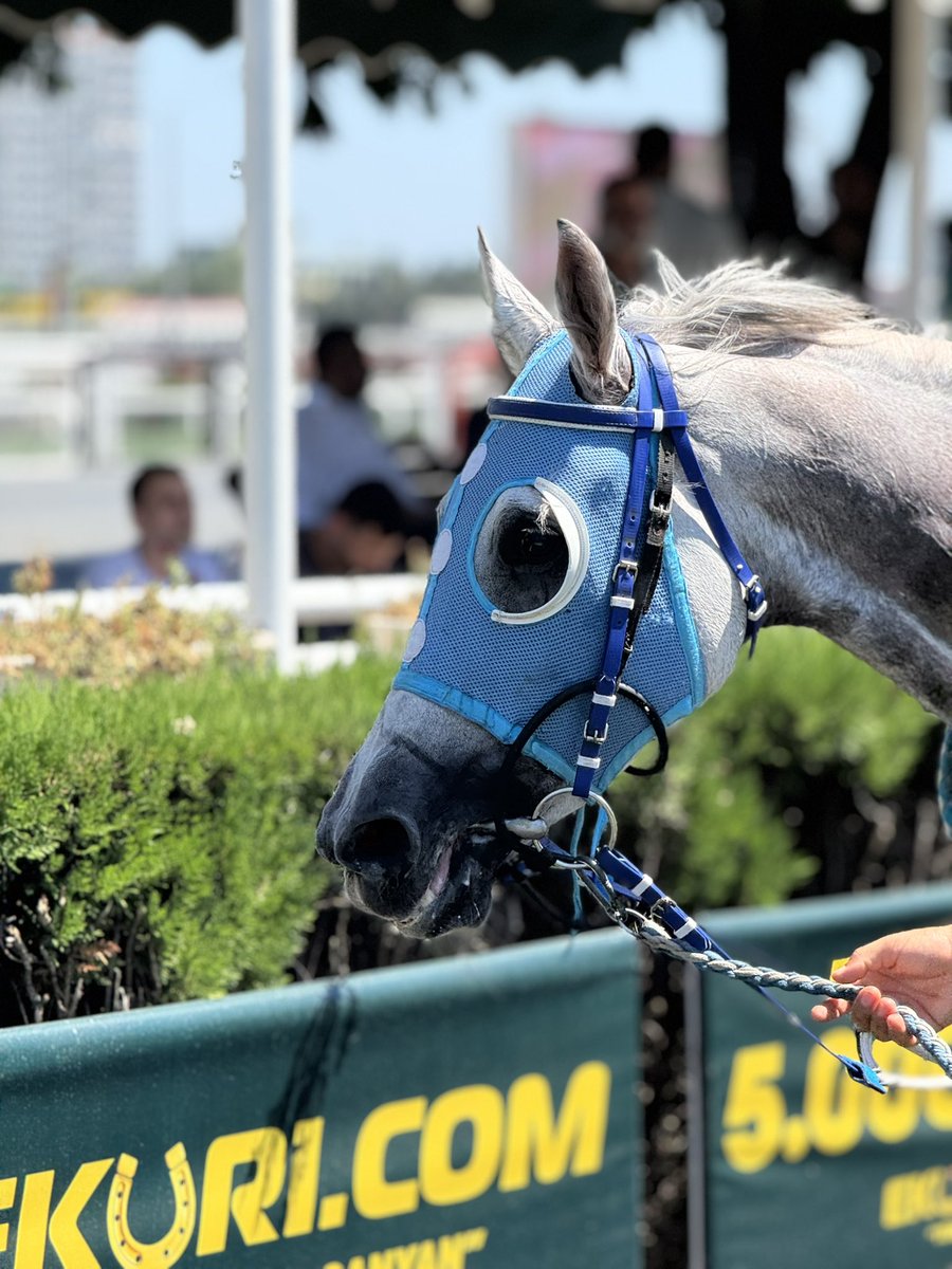 “Sen gerçek bir karaktersin prenses kızım senden gelen senin gibi olacaktır evlat” #TEKKURŞUN🤍🍬