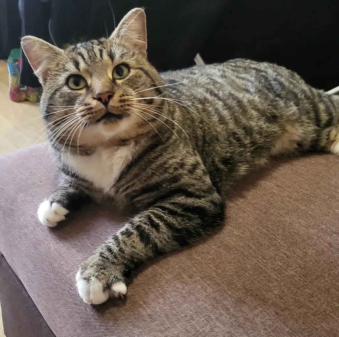 Sara Mary ⭐❤️ tweet media