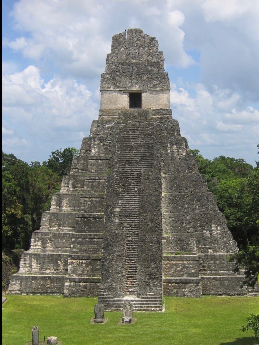 Quetzal Collects tweet media