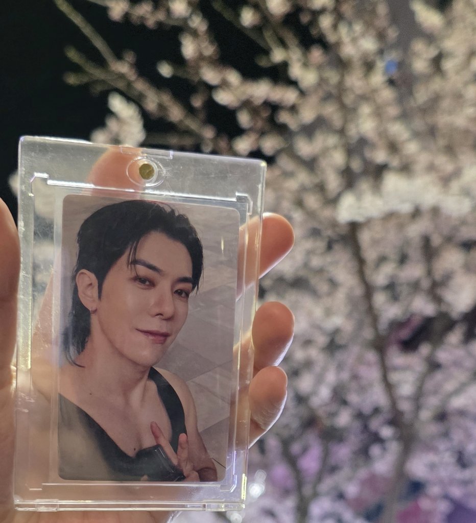 벚꽃보다도 재호가 더 예뻐💛