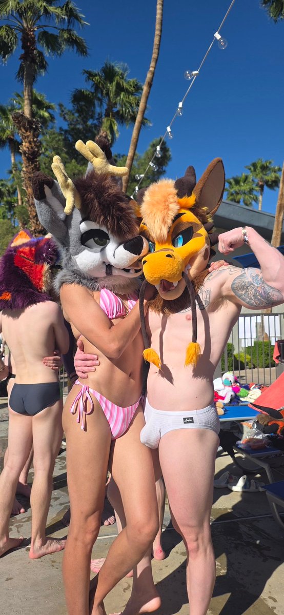 rev 𐂂 tweet media