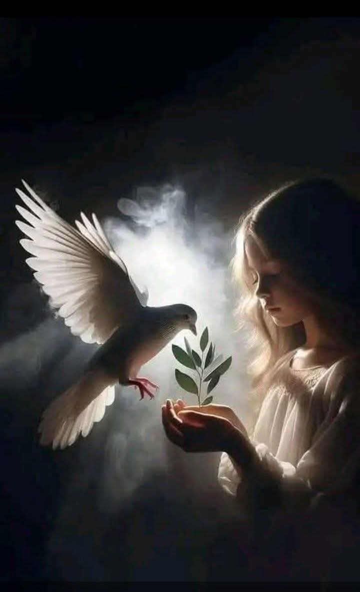 zαняα  tweet media