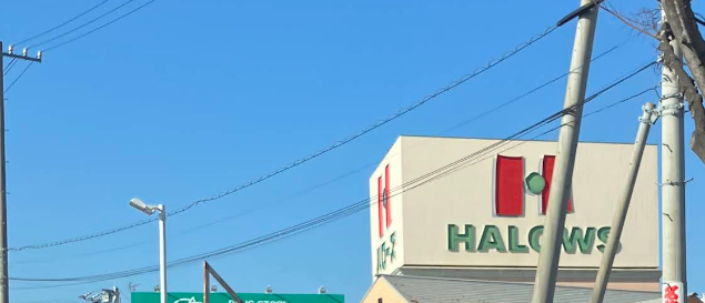 あかり tweet media