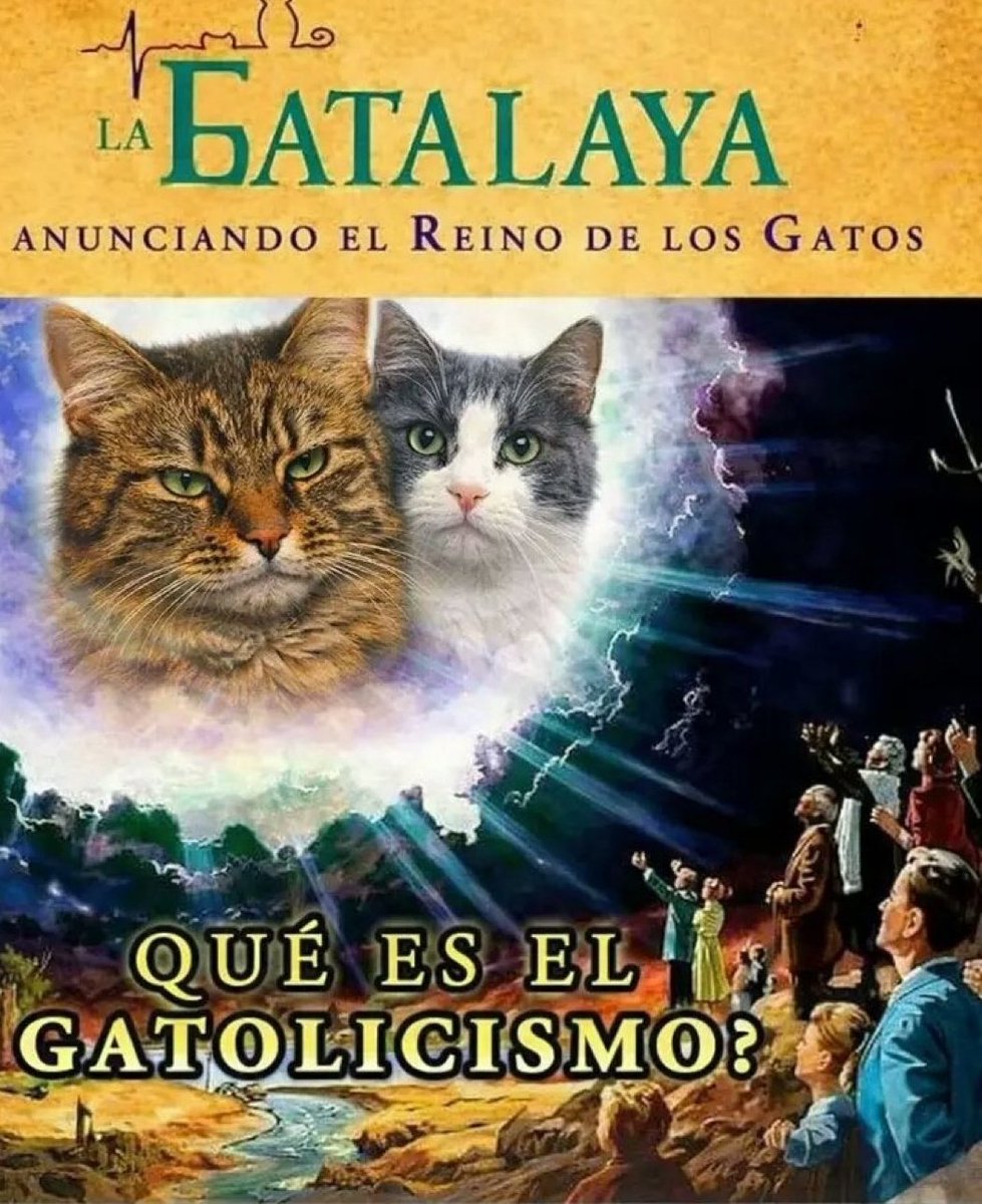 Gatete Cheems tweet media