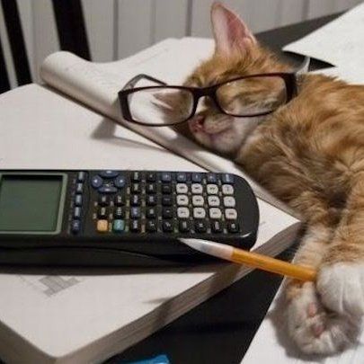 𝑹𝒆𝒗𝒚🪻 tweet media