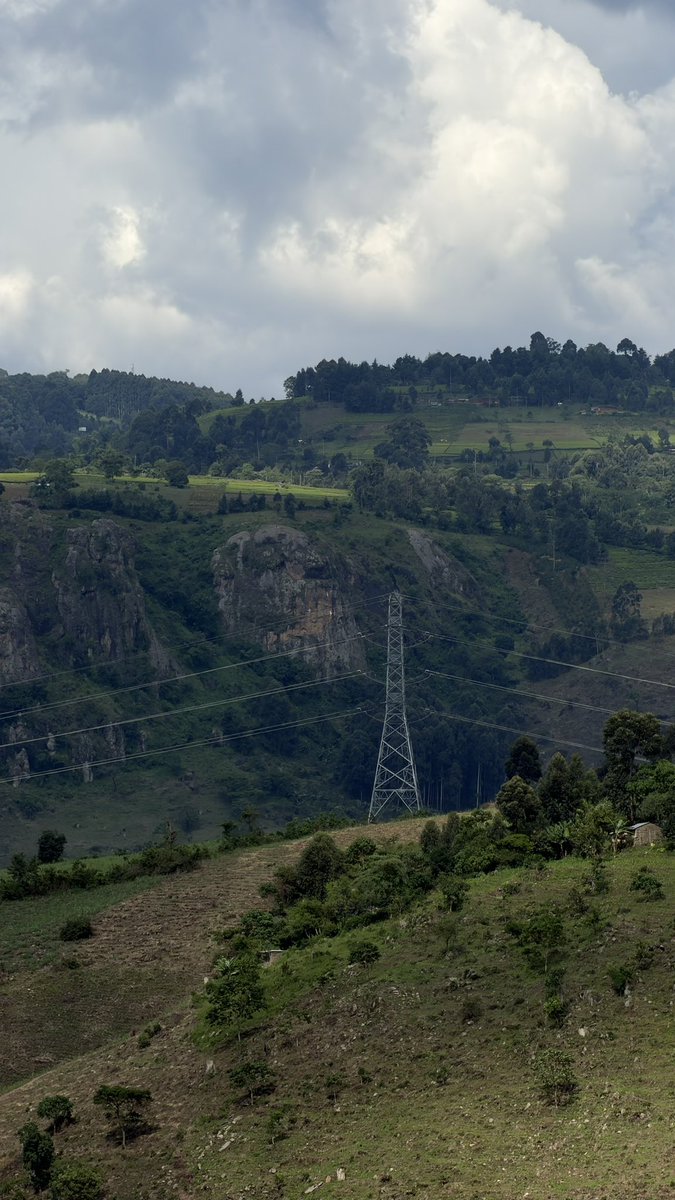 Alex Kamau tweet media